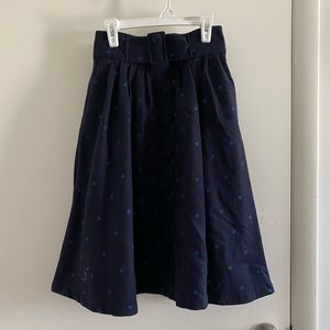 Polk a dot Blue Skirt